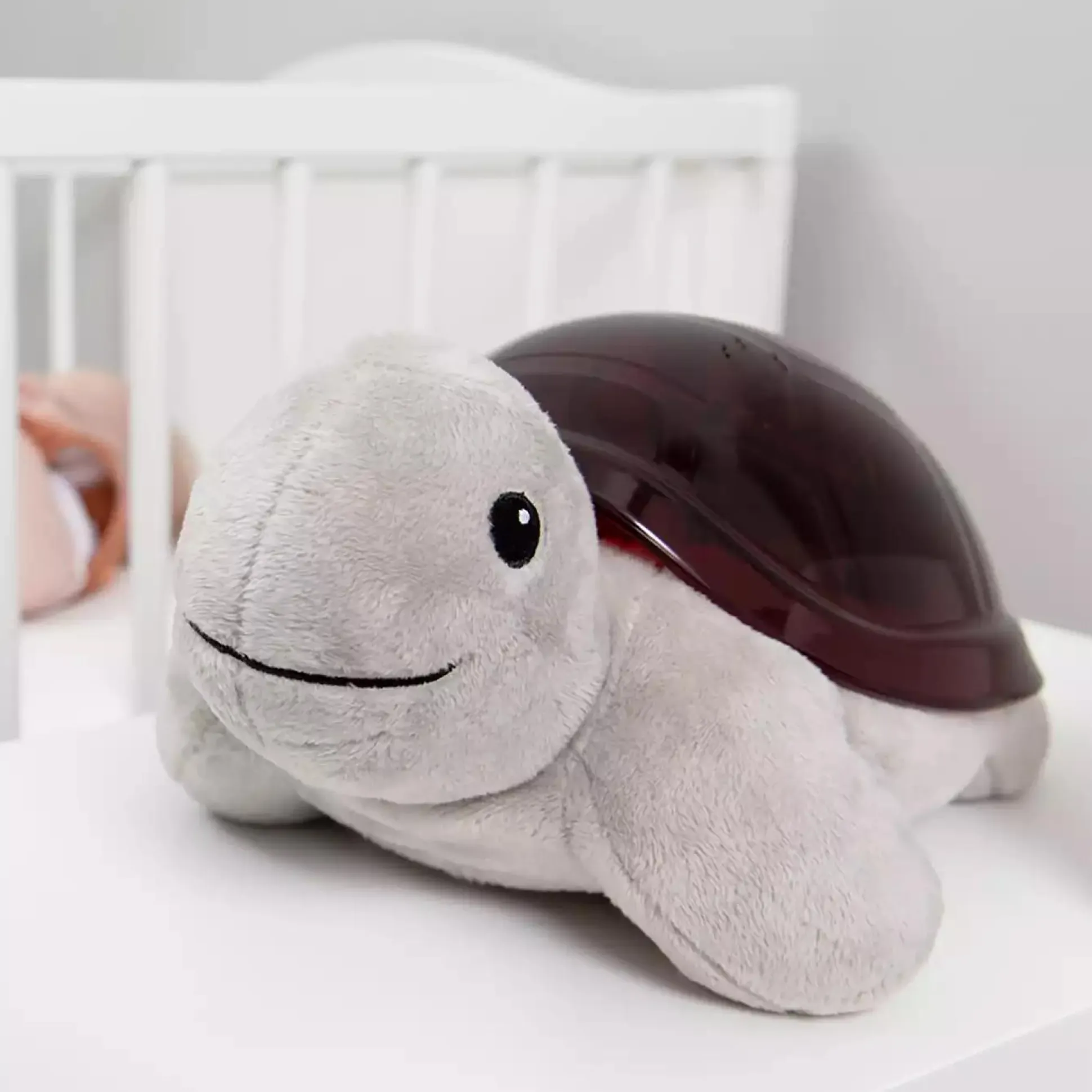 Projektor Tim die Schildkröte