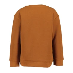 Pullover mit 3D-Stickerei