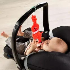 Rassel Alice der Fuchs