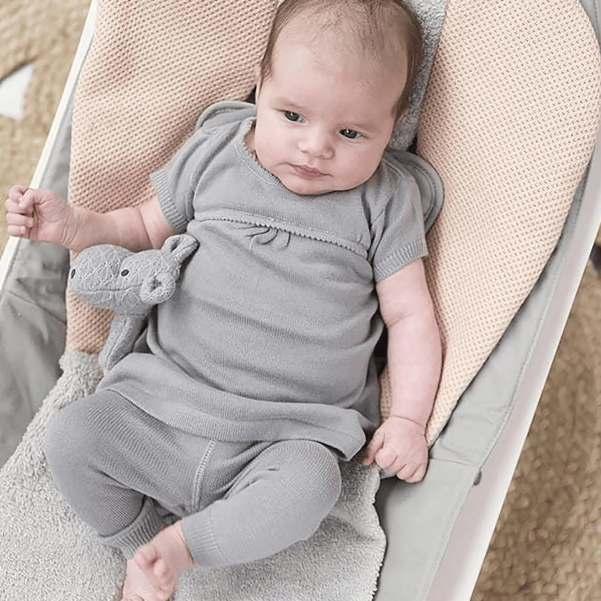 Rassel Nilpferd grau