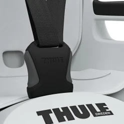 RideAlong 2 Light Grey