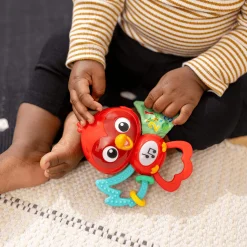 Roxy's Bright Flight Musical Toy