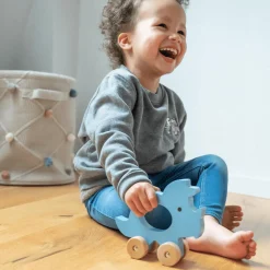 Schiebetier Triceratops