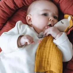 Schmusetuch Löwen Junge