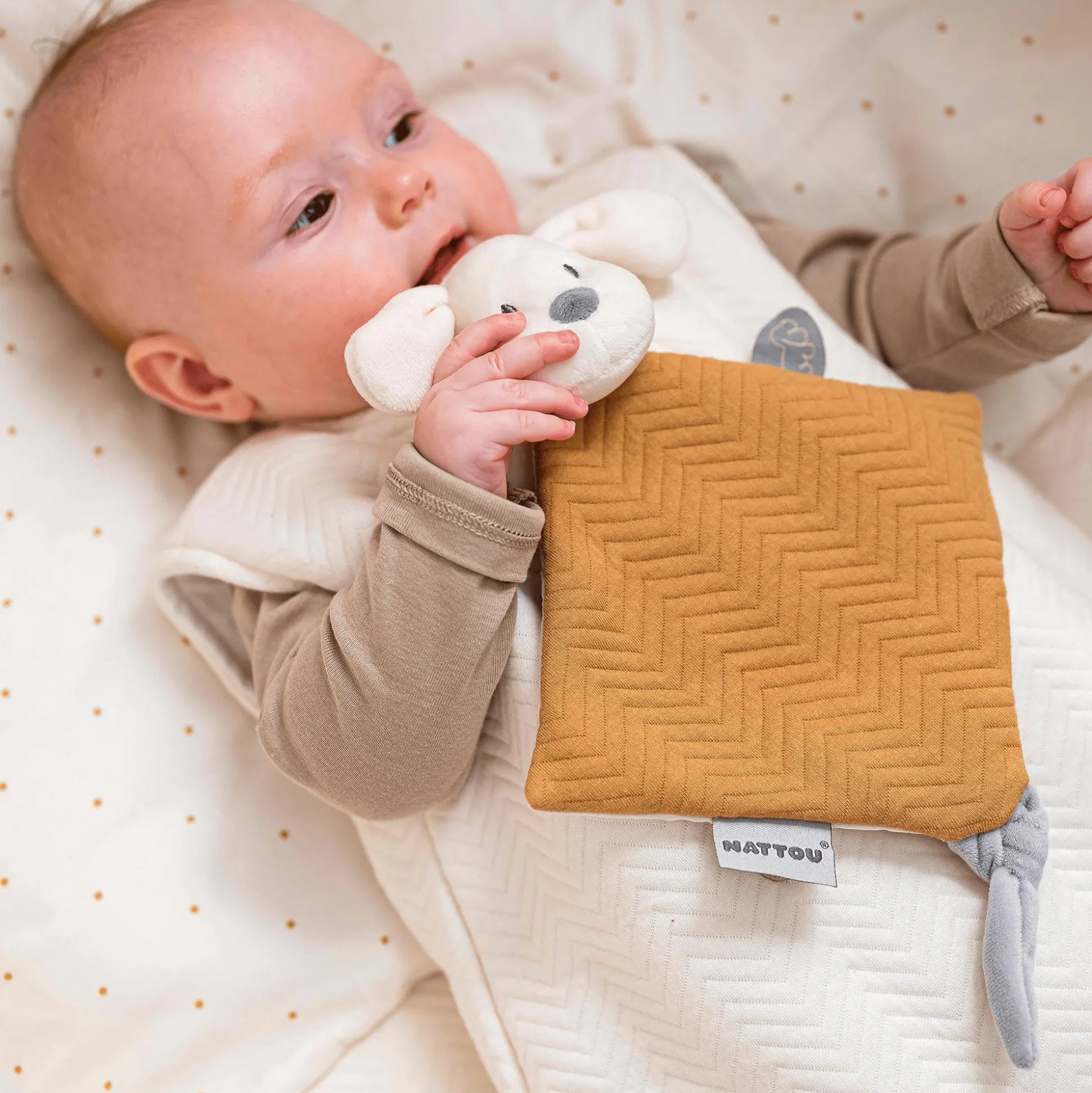 Schnuffeltuch Doudou Hund Charlie