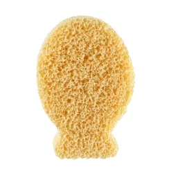 Silberionen Schwamm Fisch