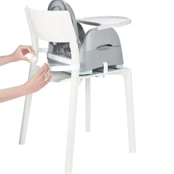 Sitzerhöhung Home & Go Bears