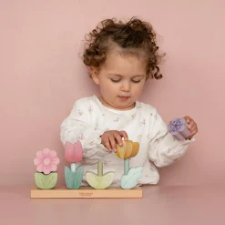 Stapelblumen Fairy Garden