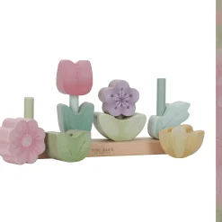 Stapelblumen Fairy Garden