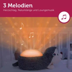 Sternprojekter Harry der Igel