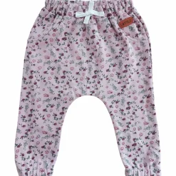 Sweathose Winterflower