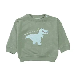 Sweatshirt Dino