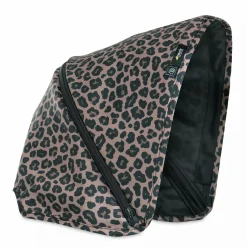 Swift X Sonnenverdeck Leo