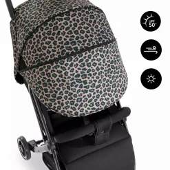 Swift X Sonnenverdeck Leo