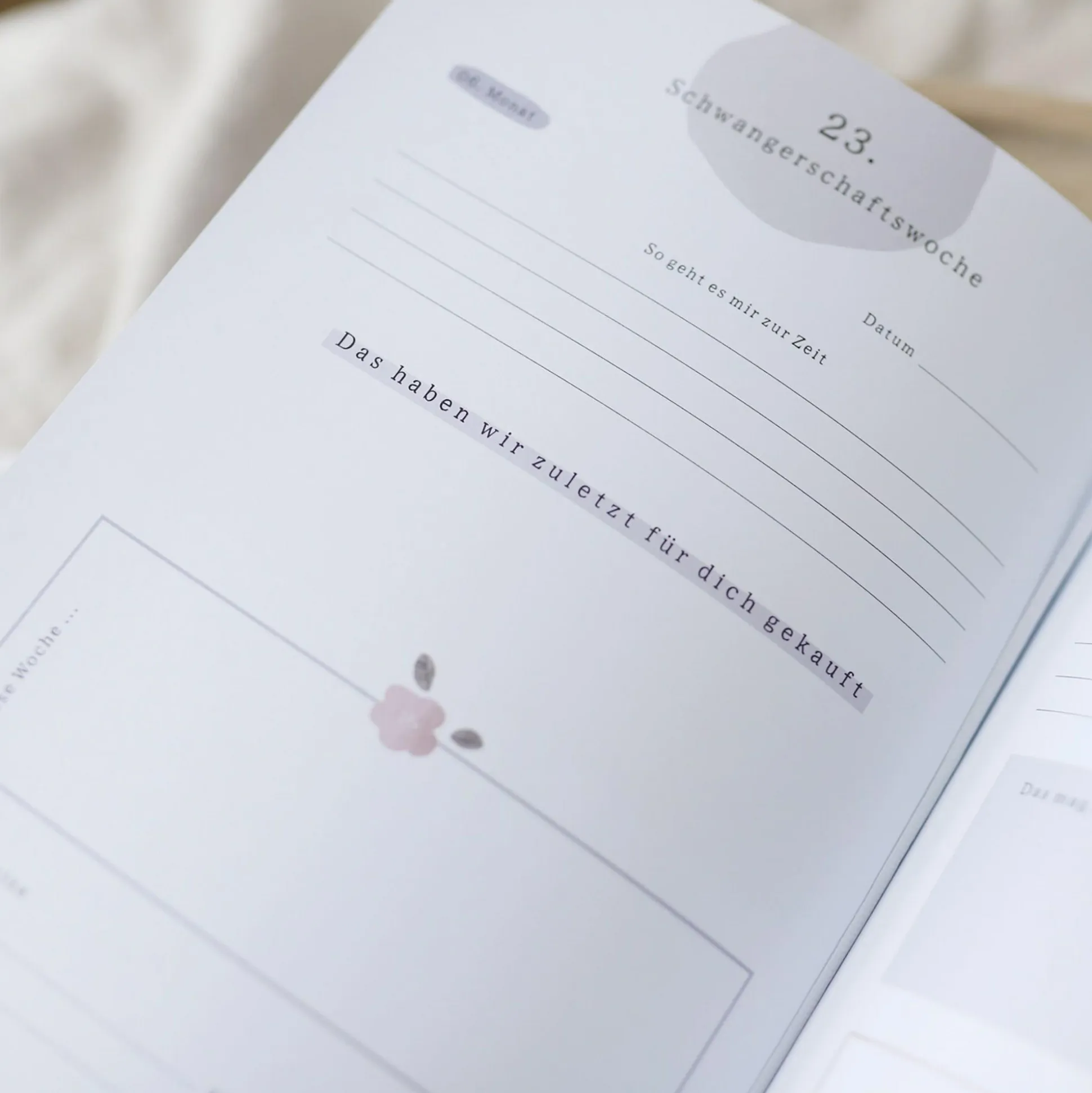 Tagebuch Meine Schwangerschaft