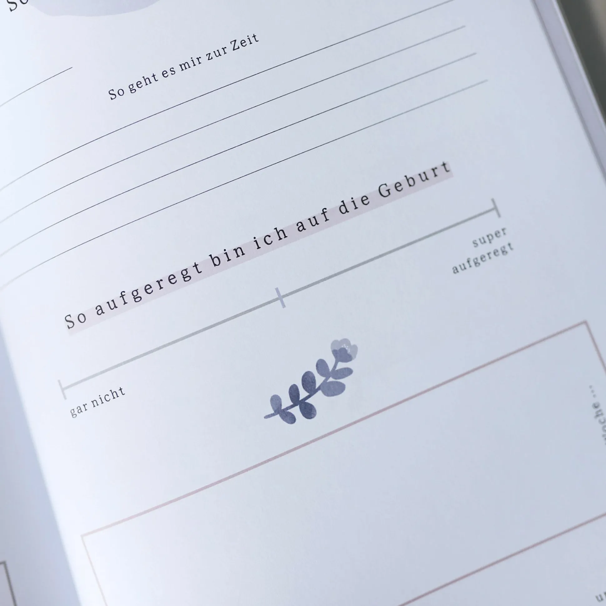 Tagebuch Meine Schwangerschaft