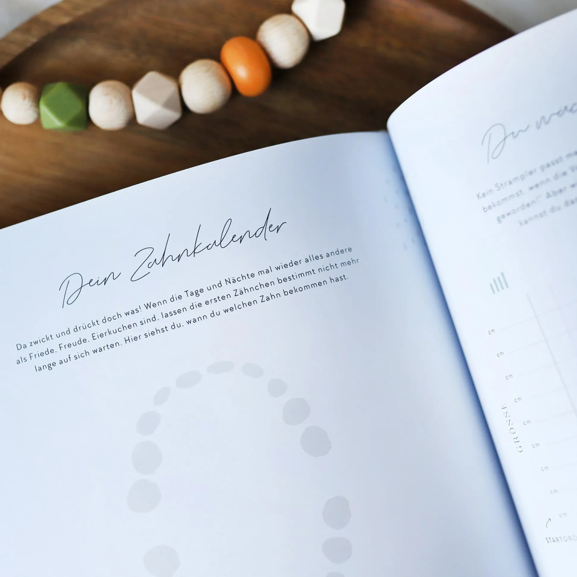 Tagebuch Our First Year