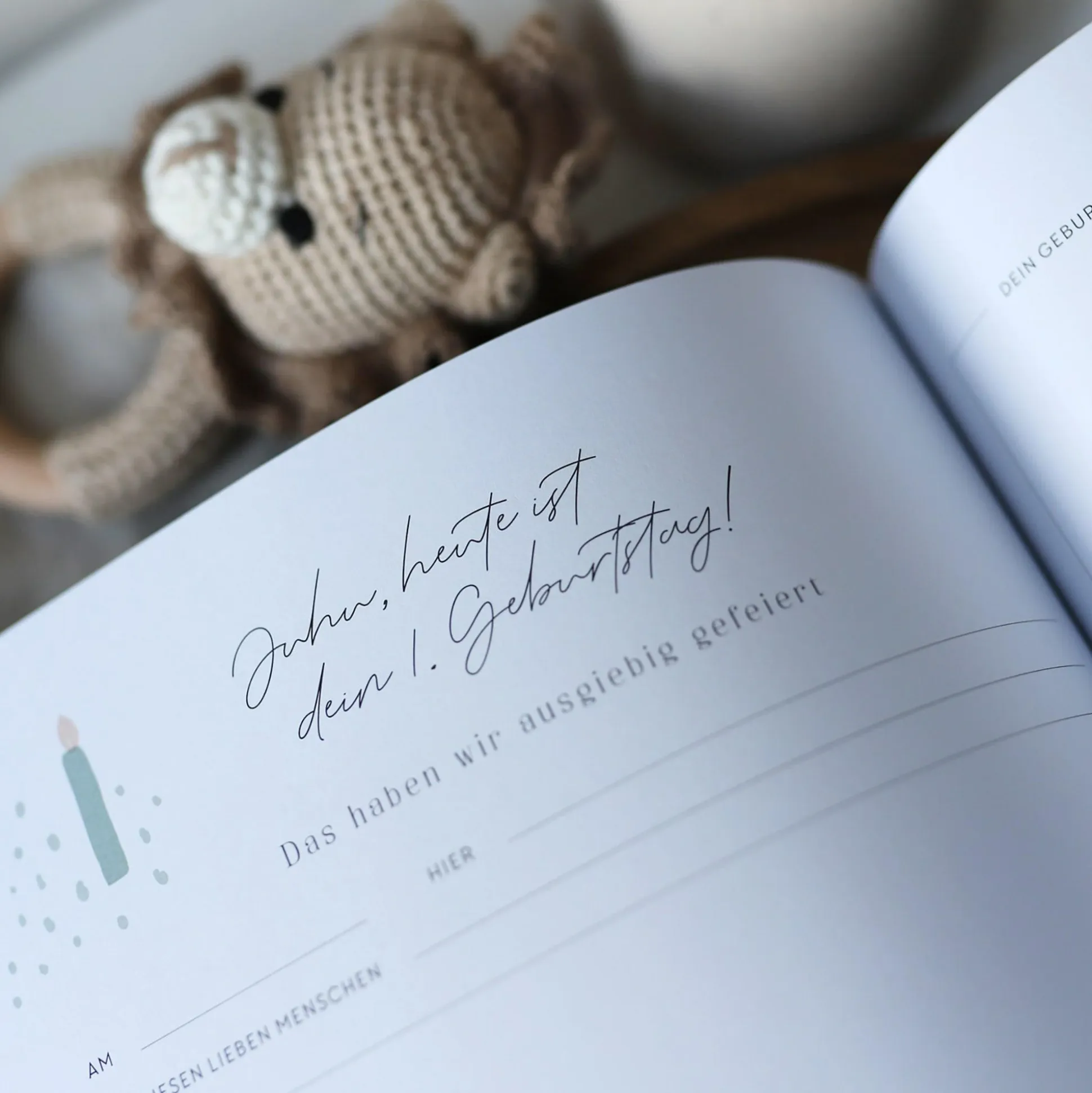 Tagebuch Our First Year