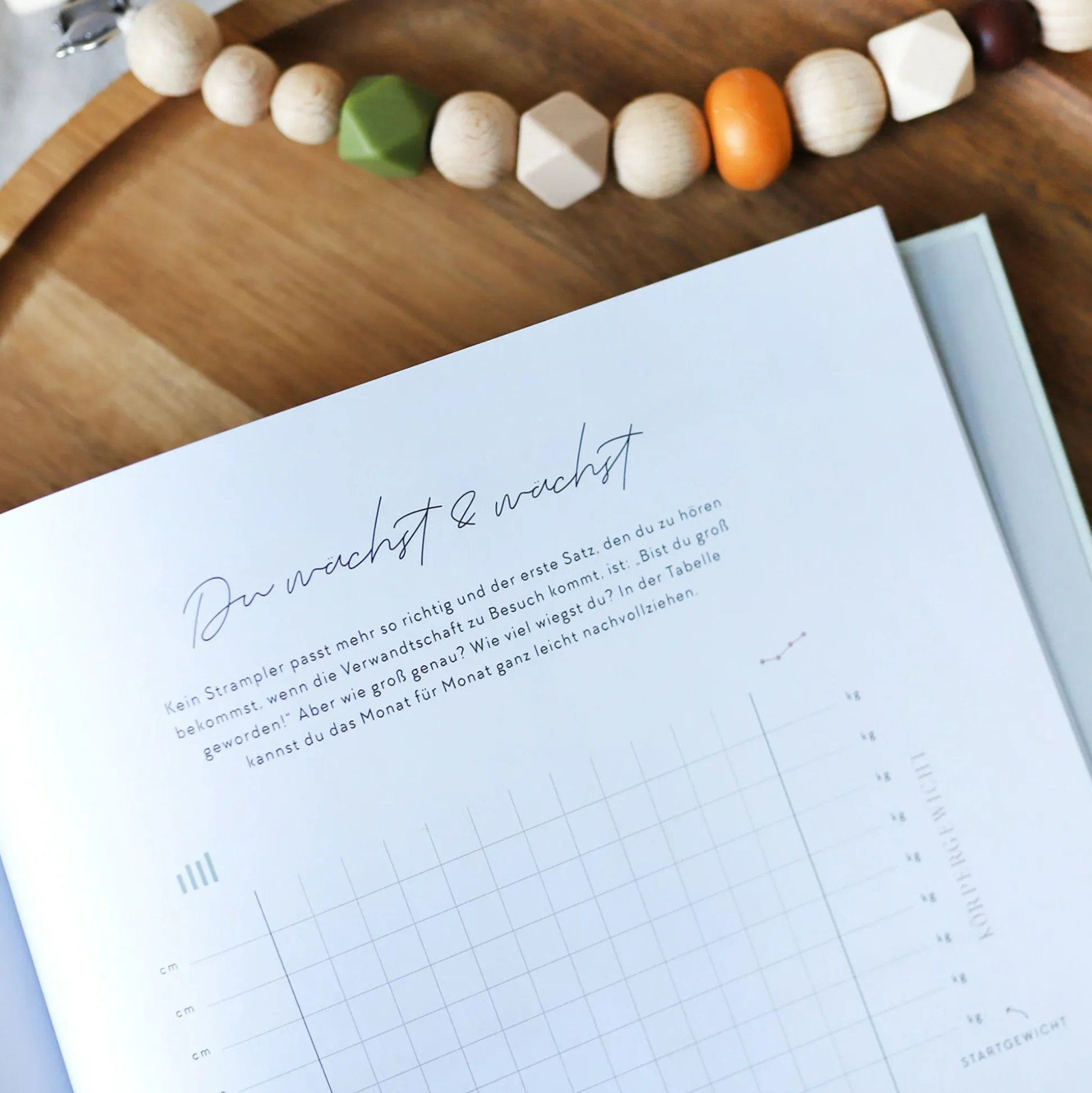 Tagebuch Our First Year