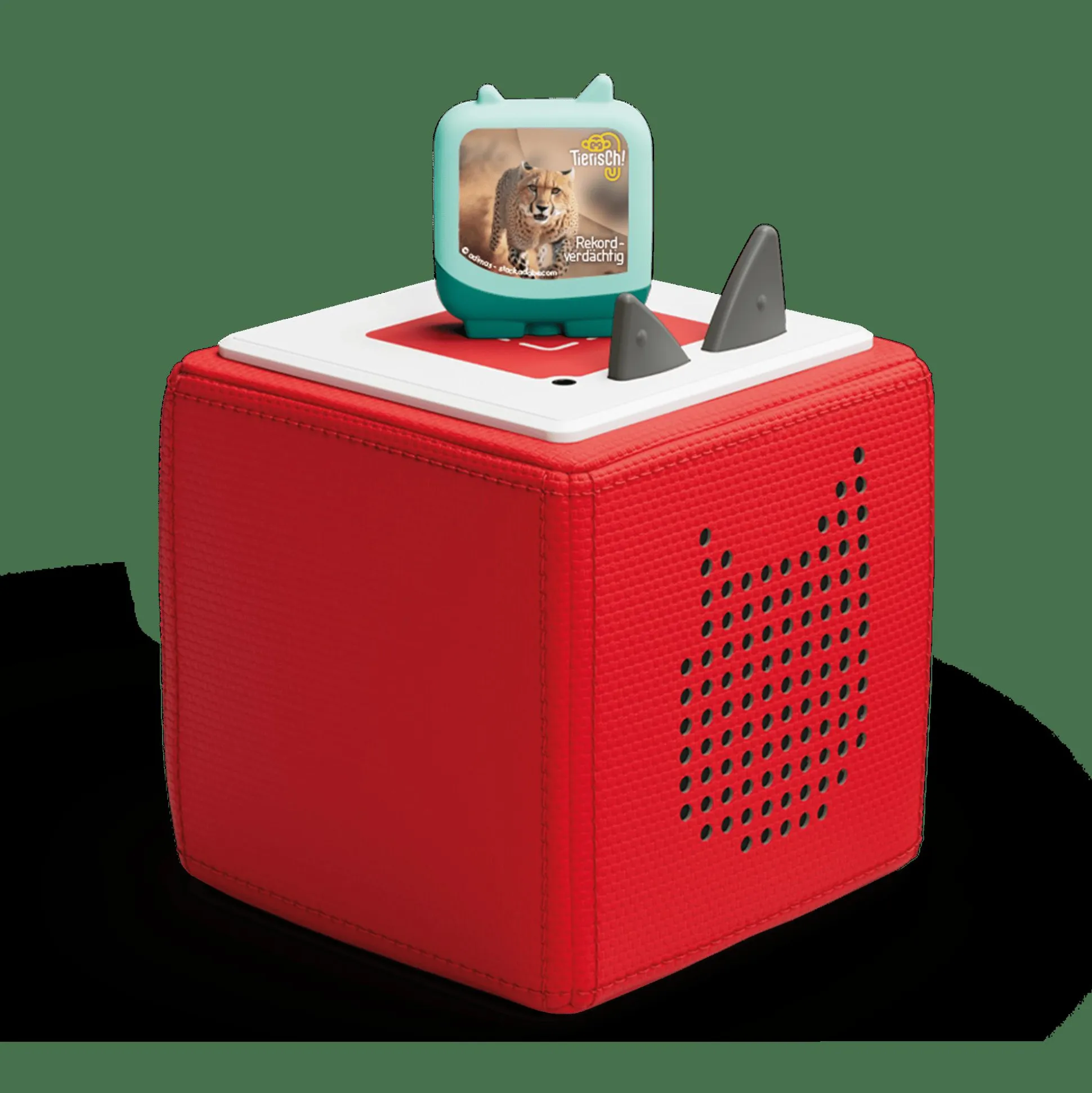 Tierisch! Rekordverdächtig