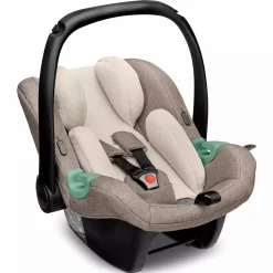 Tulip Fashion Nature