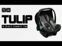 Tulip i-Size Black