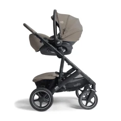 Vinca Maple inkl. Ramble