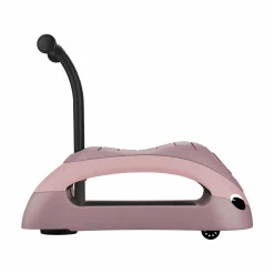 WALK N’ ROLL 2in1 ECO Beere