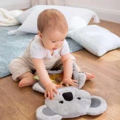 Wasser-Spielmatte Koala