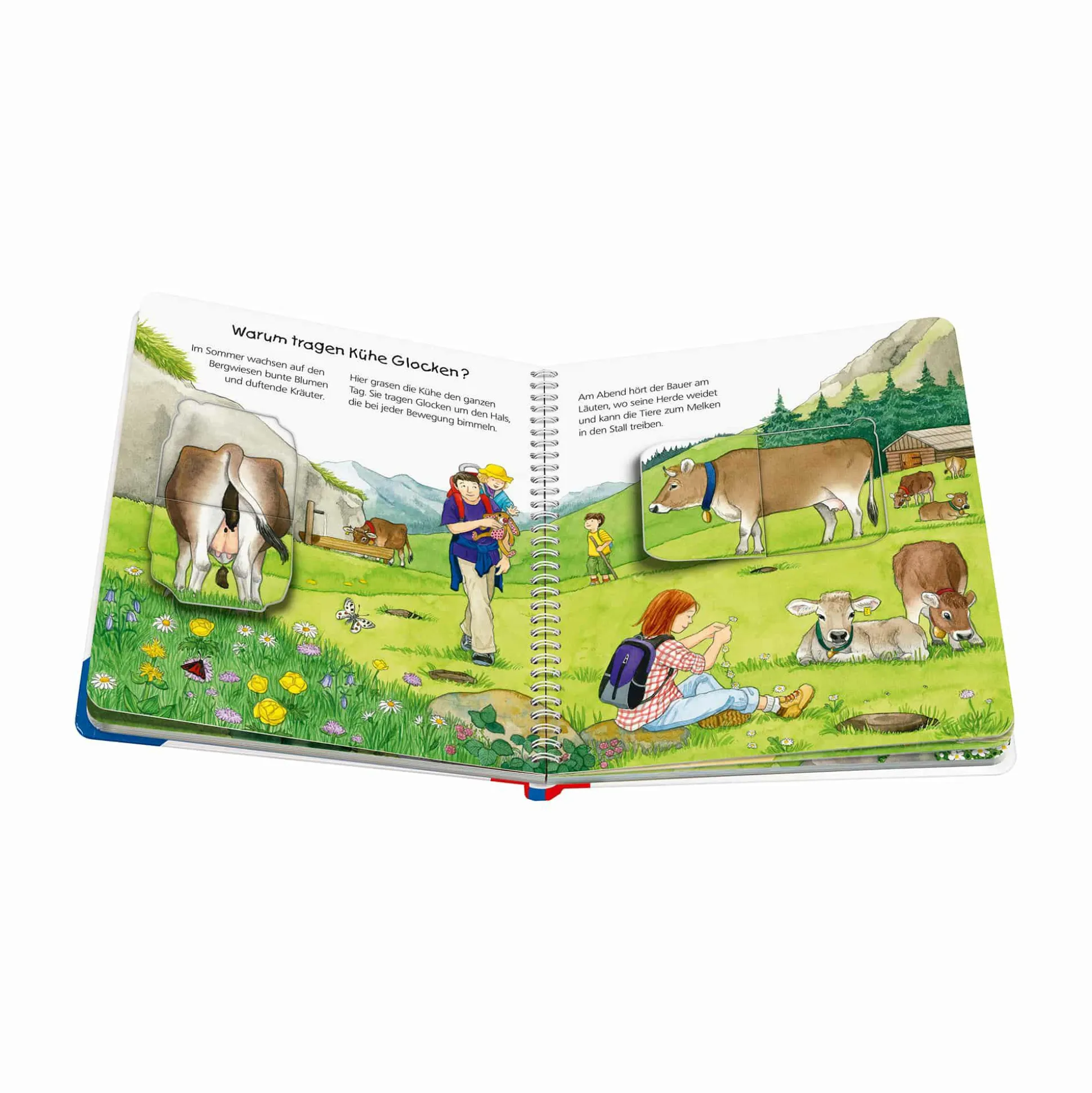 Wieso? Weshalb? Warum? junior, Band 42: In den Bergen