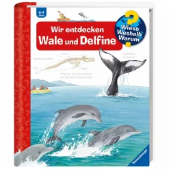 WWW Wir entdecken Wale und Delfine